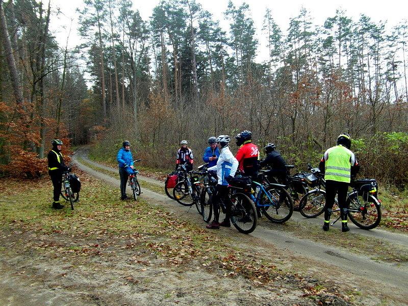 Lasy w okolicach leśniczówki Bukowiec