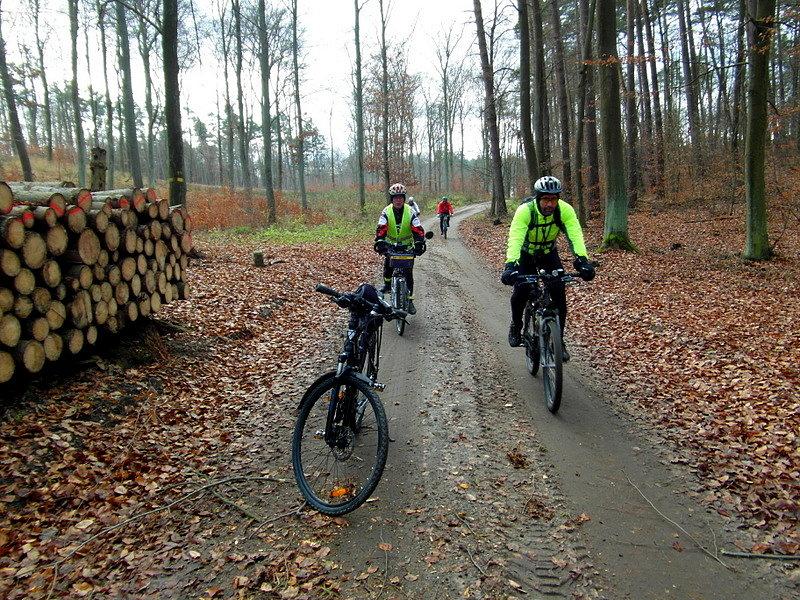 Rowerzyści na szlaku
