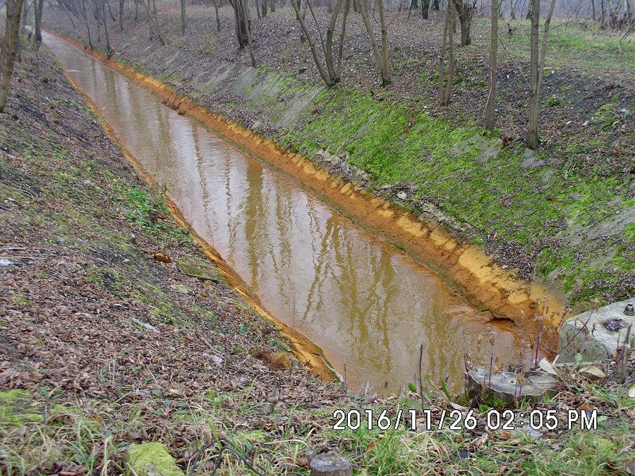 Rów ściekowy przy ulicy Saturnowskiej w Czeladzi - zainteresowały mnie te kolory