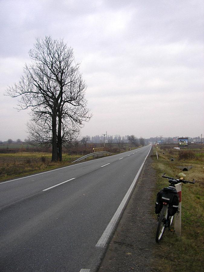 Dw794