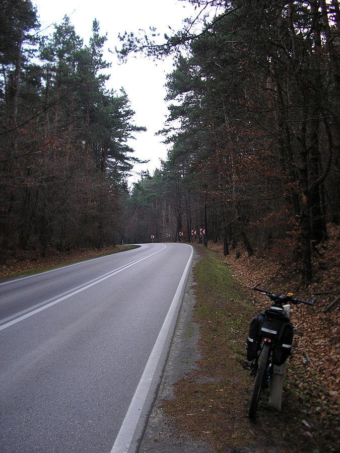 Lasek przed Wolbromiem