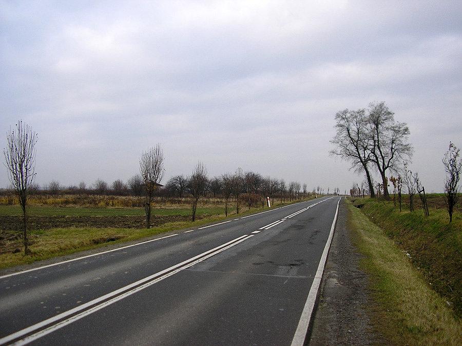 Dw794
