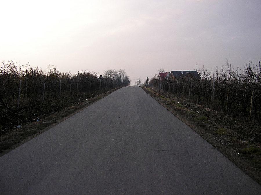 Sady to nieodłączny element Pogórza Wiśnickiego