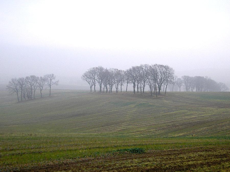 Mgliście