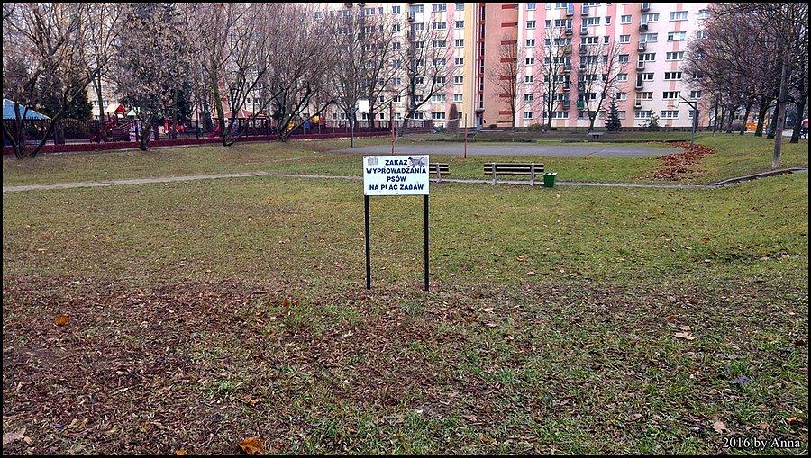 Może i noszę okulary, ale ja tu placu zabaw nie widzę