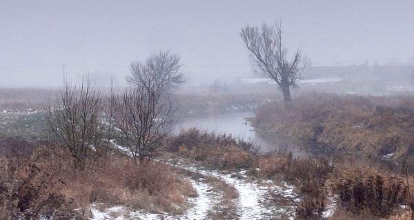 Sypnęło śniegiem