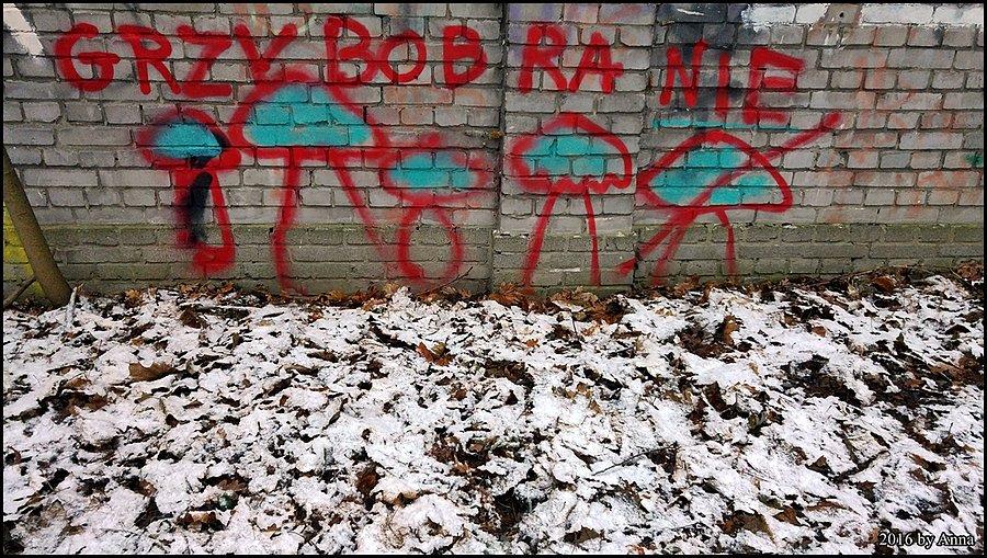 Streetart! Grzybobranie!