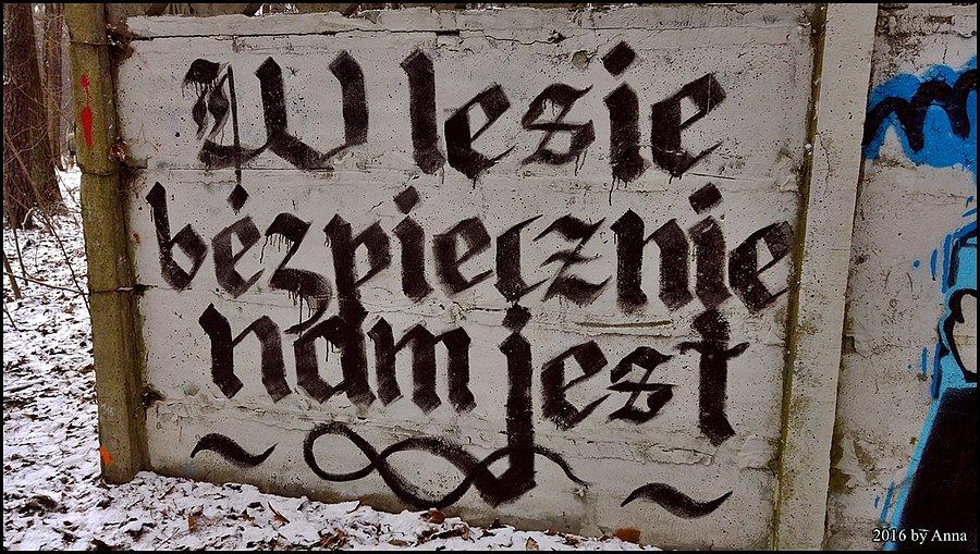 W lesie bezpiecznie nam jest