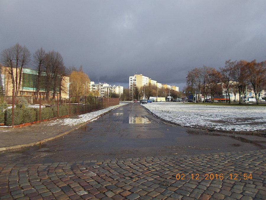 Ulica Drzewna