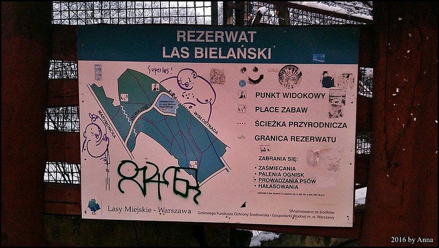 Rezerwat Las Bielański
