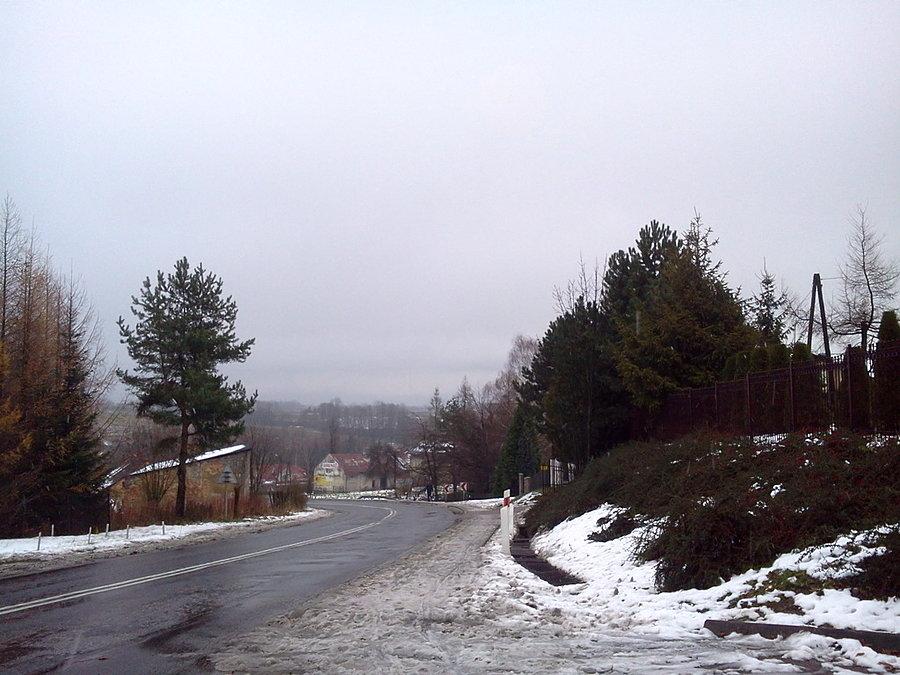 Ogrodzona