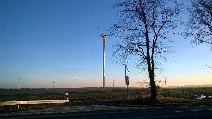 Wiatraki za głubczycami