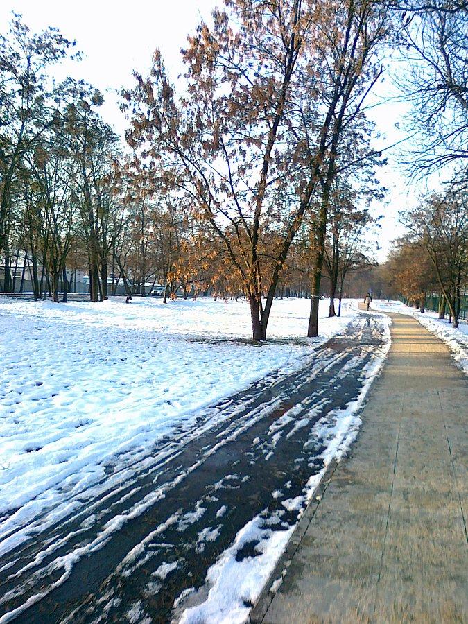 Na Radiowej znowu tylko chodnik
