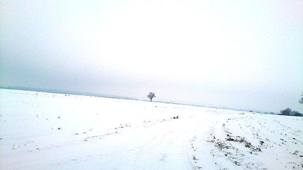 Śnieżne pola