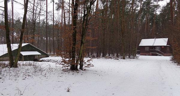 Przechowalnia sadzonek