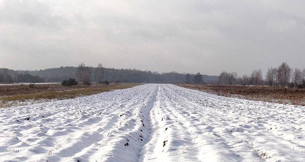 Zaśnieżone pola