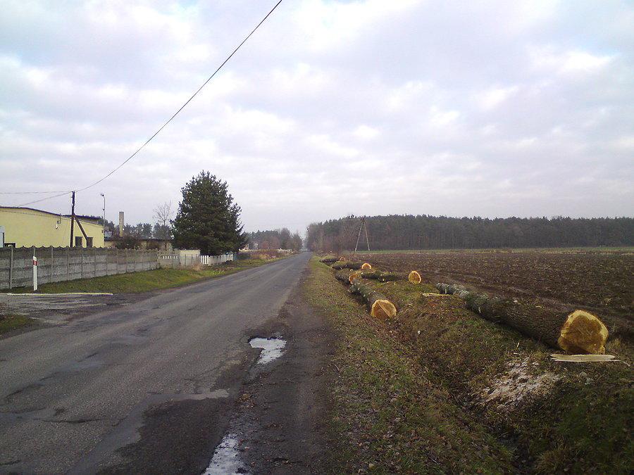 Pościnali przydrożne drzewa w Kościerzycach