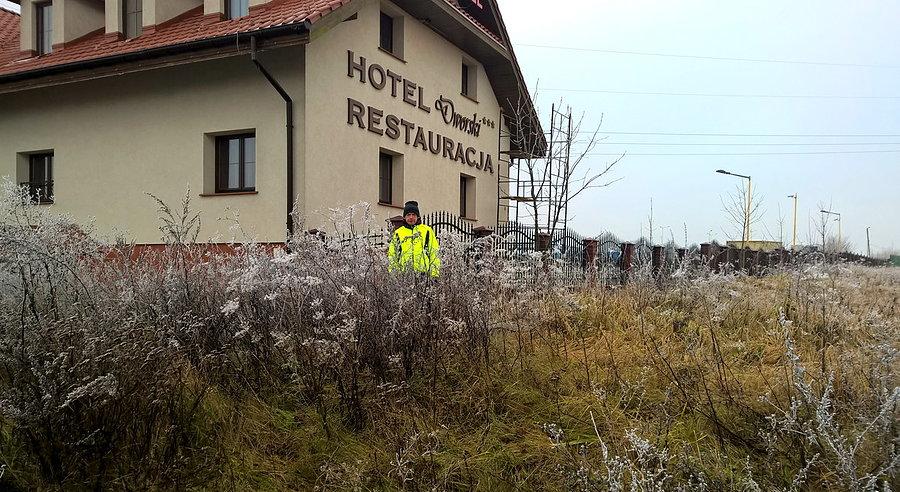 Kuba w oszronionych krzewach pod Przecławiem