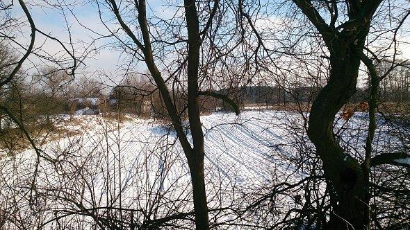 Widoczek