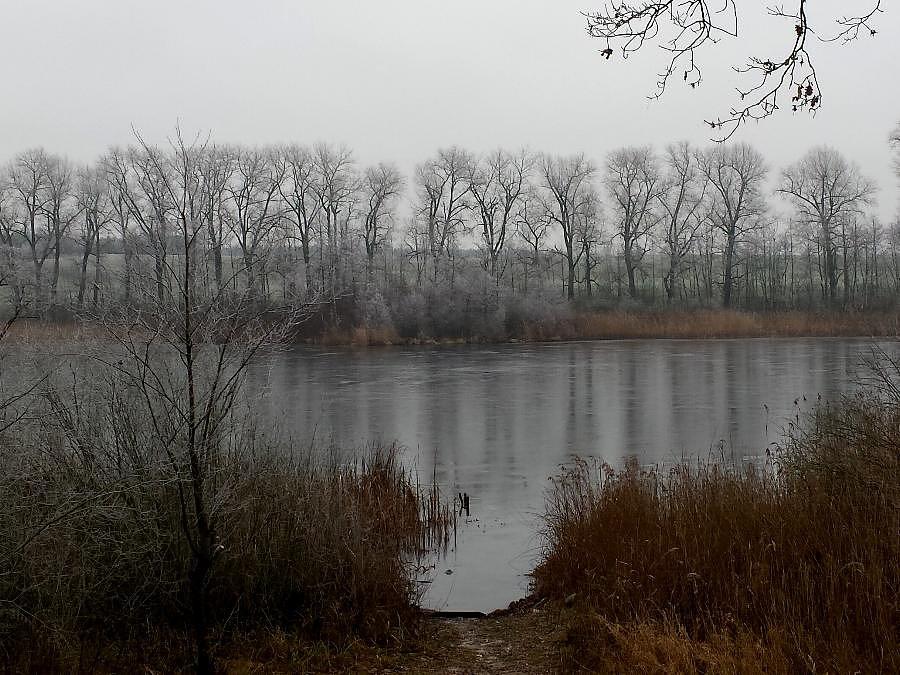 Jezioro w okolicy Grabowa