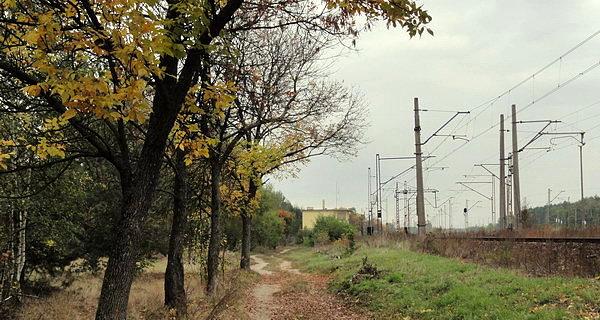 Jesienną porą ponad torami