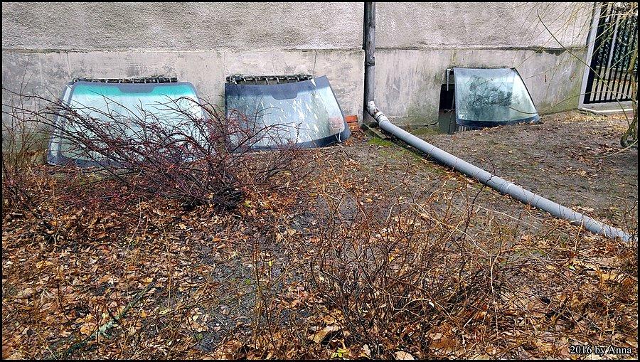Sposób na niekapanie wody w okienka piwniczne? Tak było w kilkunastu kamienicach. Hurtowo zamawiane te szyby?