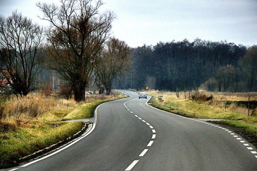 W drodze do Morzyczyna