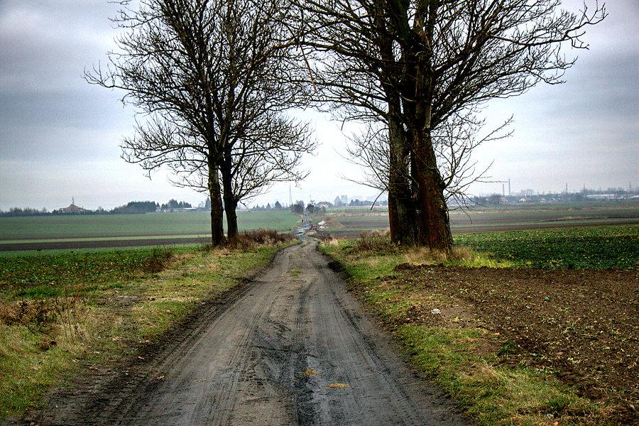 Podmiejską do Stargardu