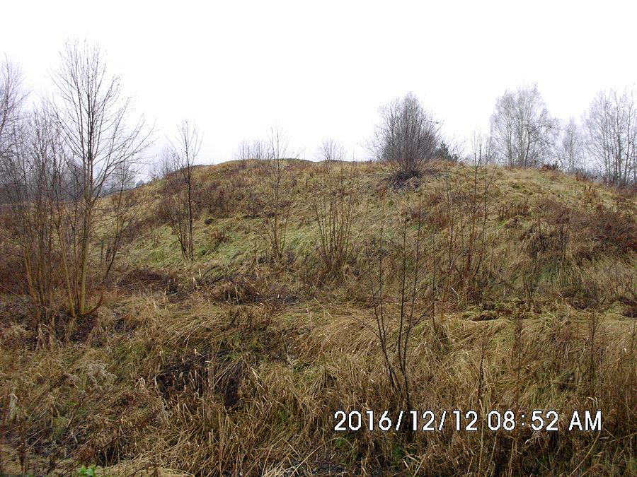 Gródek średniowieczny nad Kochłówką