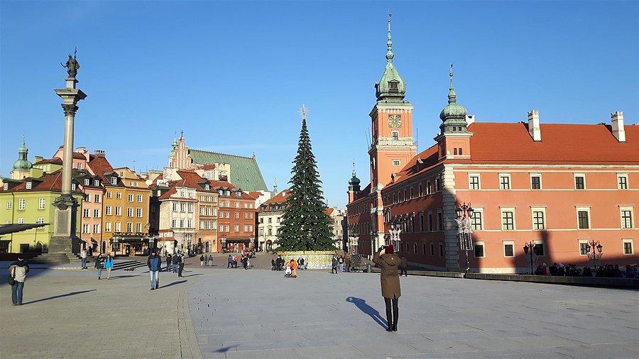 Choinka na Placu Zamkowym