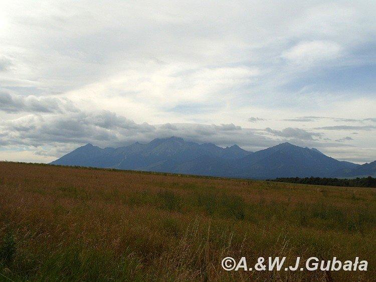 Tatry z drogi na Spiską Belę