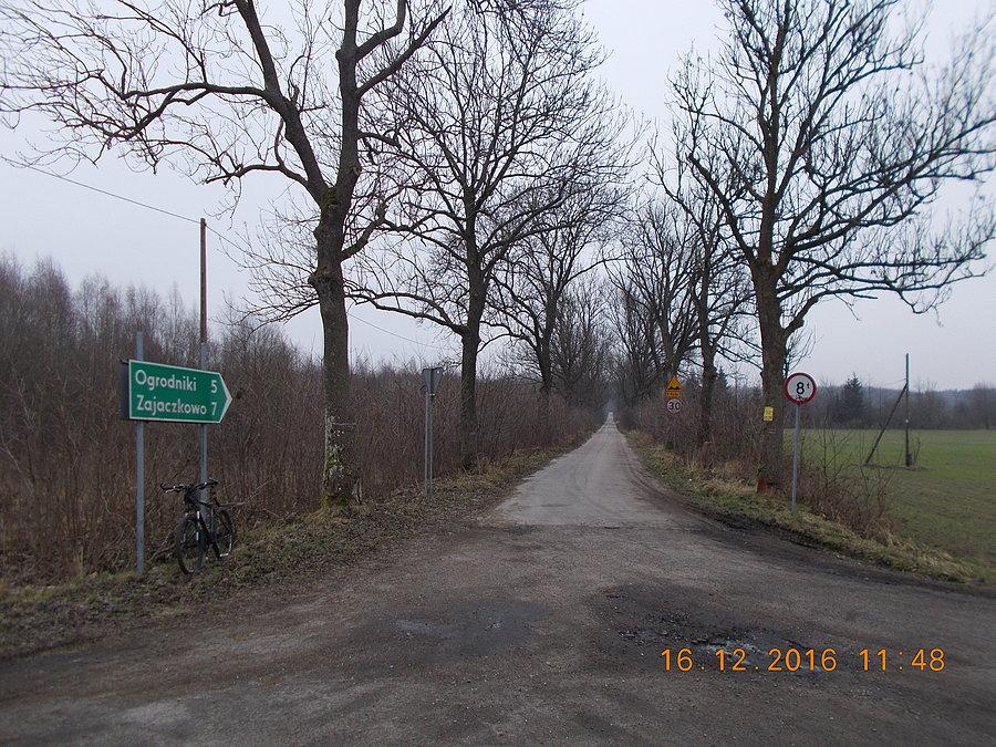 Ulica Jelenia Dolina