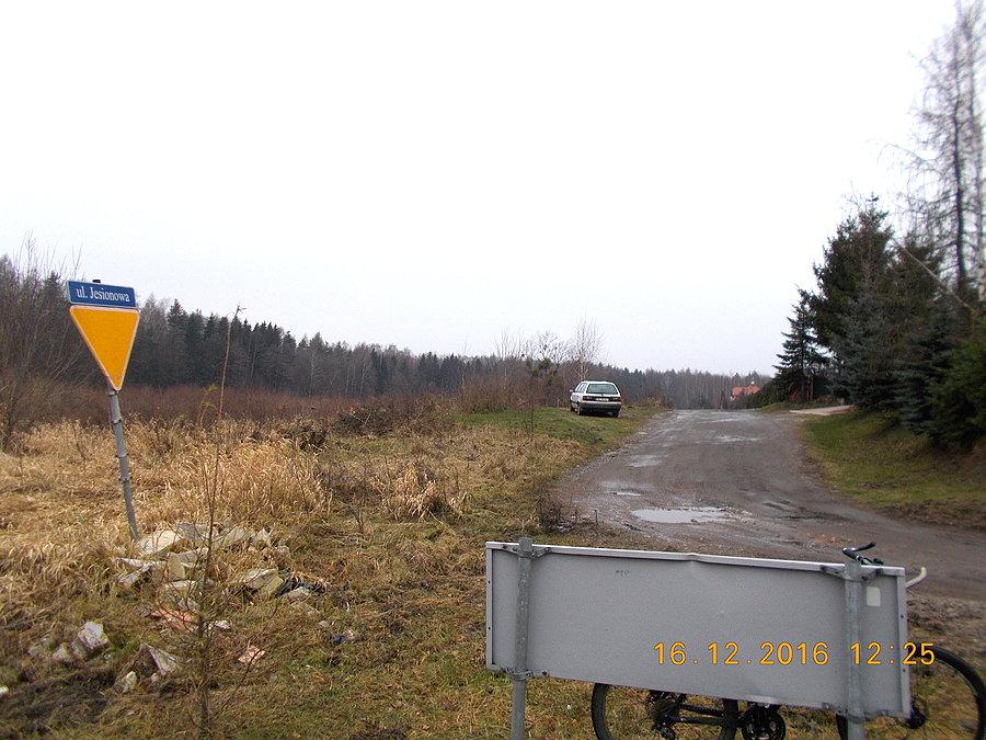 Ulica Jesionowa