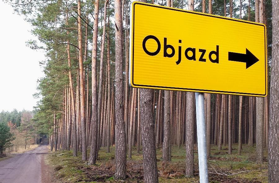 Znak drogowy w lesie