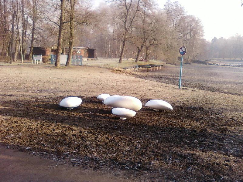 Łódzkie pieczarki ;)