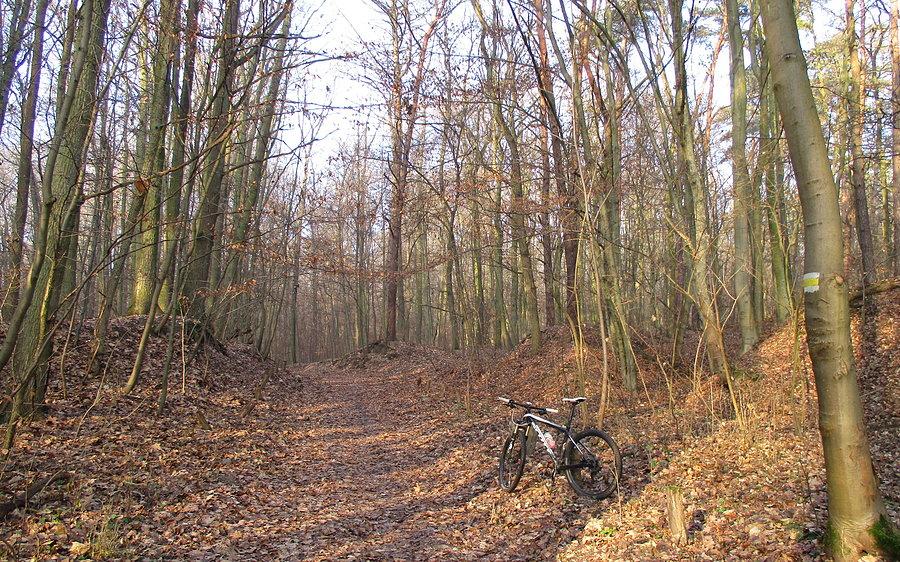To już w WPN. Mój rewir MTB :)