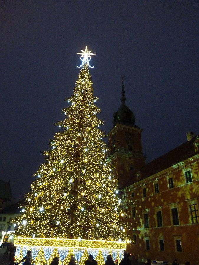 Choinka na Placu Zamkowym - tej oczywiście nie policzyłam bo sztuczna