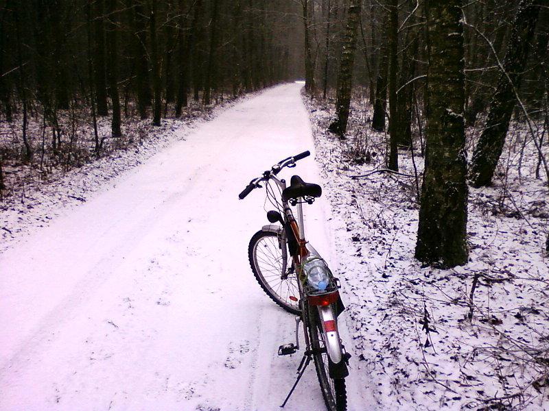 Las Rąbień