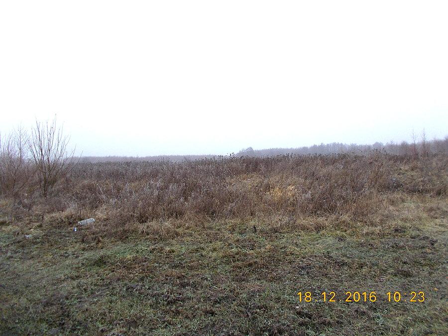Ulica Karpińskiego