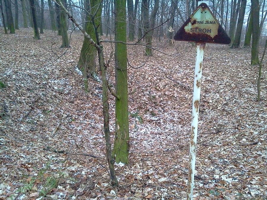 Zagłębienia po dawnych dołach odkrywkowych