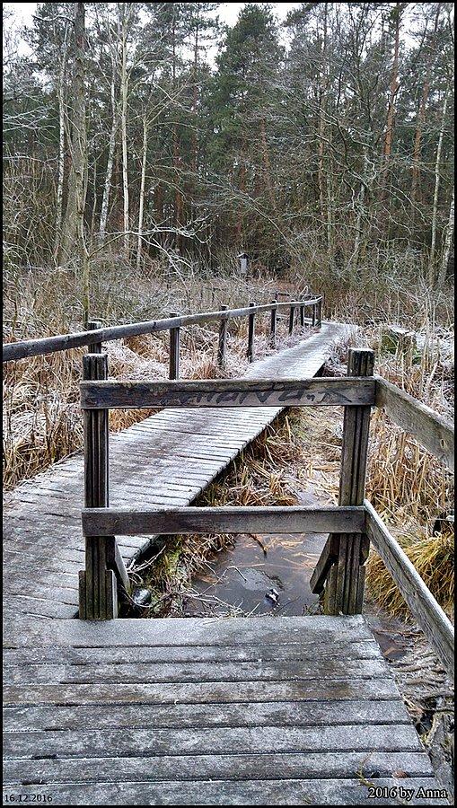 Kładka. Ślisko