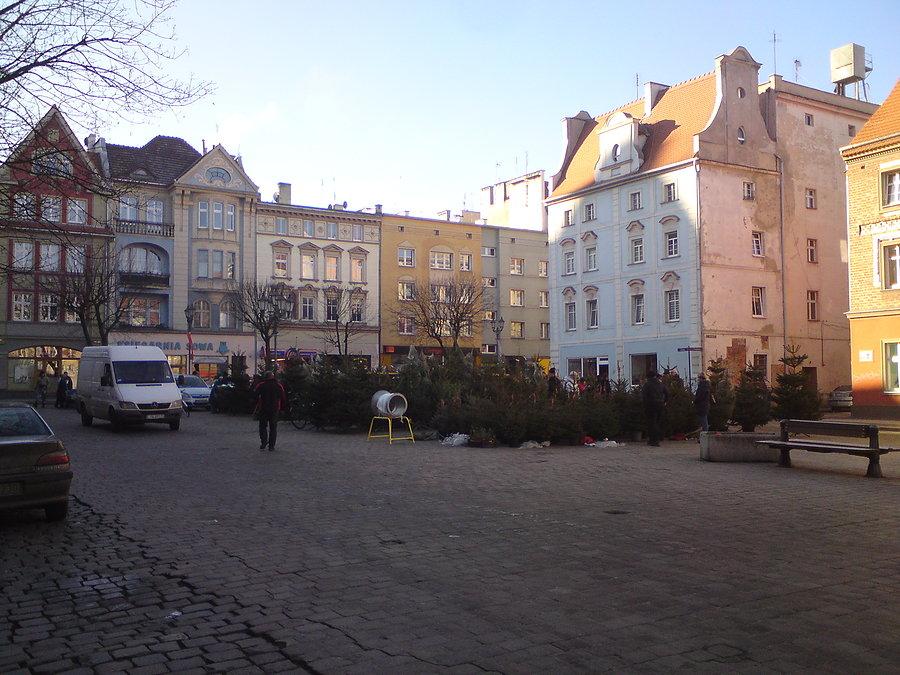 Handel choinek na Rynku, słonecznie