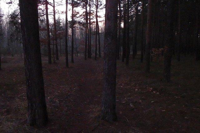 Nieznane mi wcześniej tereny Lasu Gdańskiego