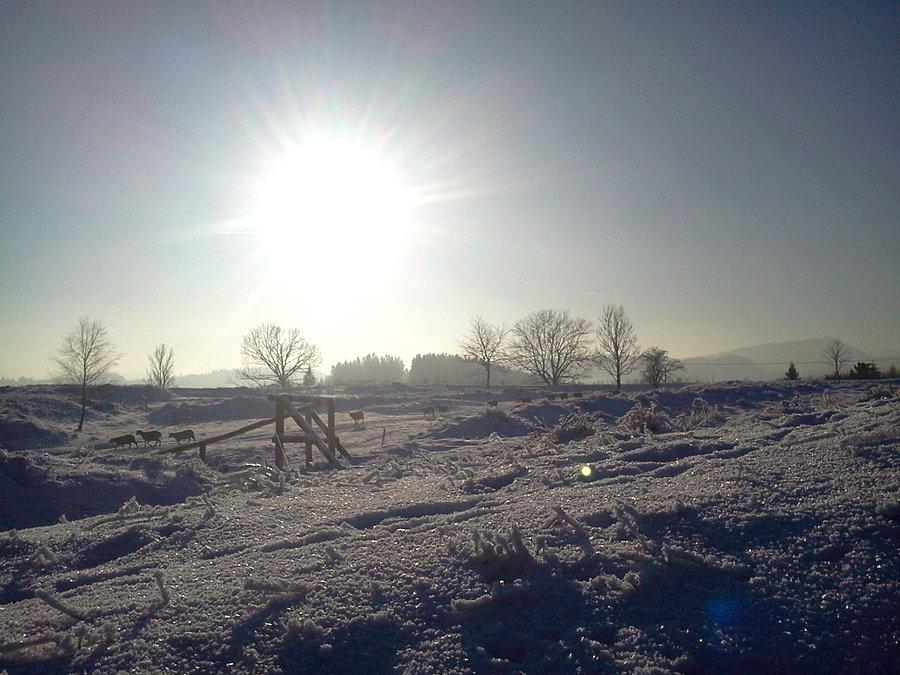 Idą... idą