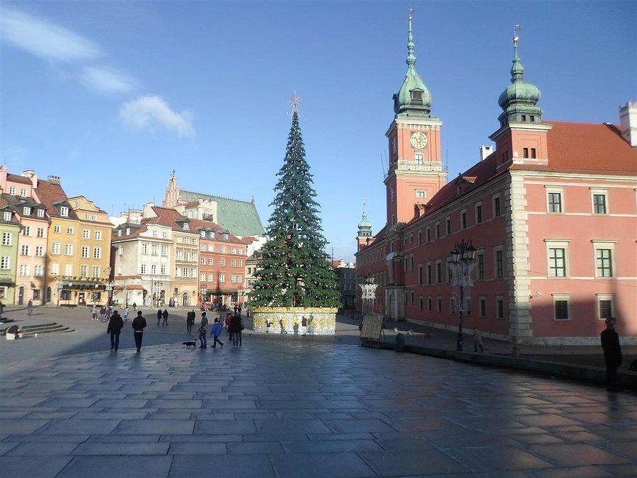 Oświetlona choinka na Placu Zamkowym