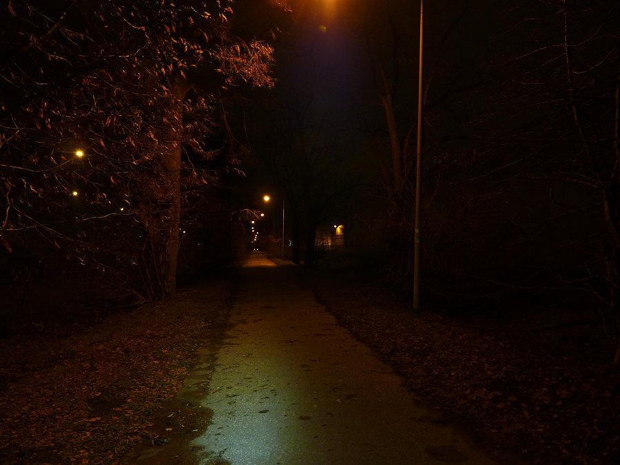 Aleja drzew nocą przy Gierdziejewskiego