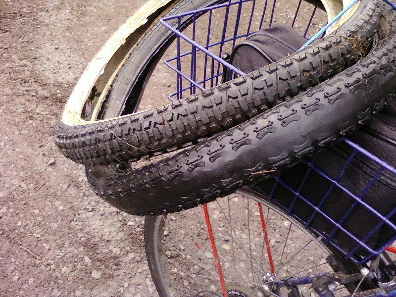 Stomil Anaconda i Motylek