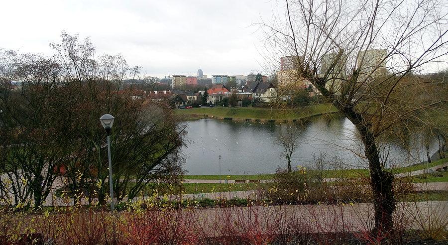 Staw Brodowski w dzielnicy Drzetowo