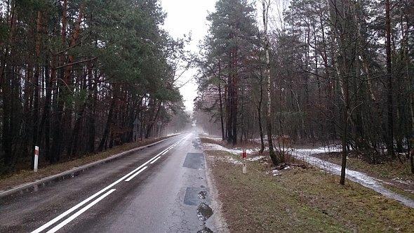 W lesie można spotkać śnieg