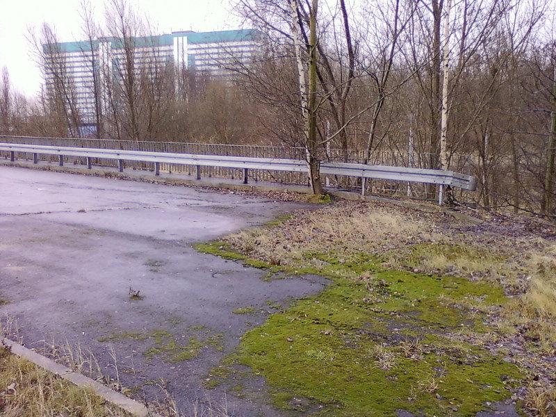 Zarośnięty wiadukt na Pomorskiej